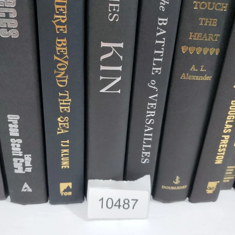 Shelf Staging Library Modern Decorative Black Silver Hardcover Books Set Lot 12